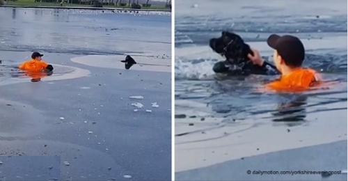 Ein Helden Läufer sprang in einen zugefrorenen See, um einen Hund zu retten